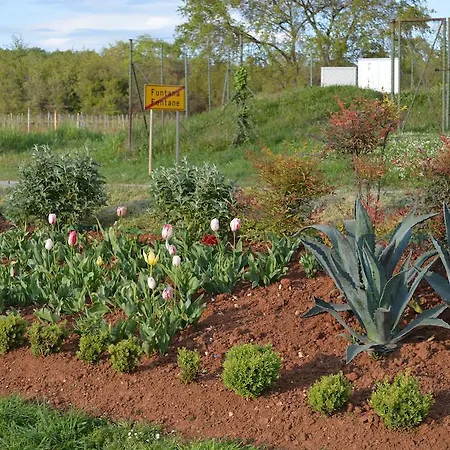 Mari アパート フンタナ