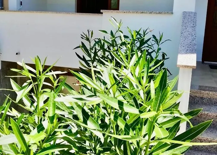 Mari Appartement
